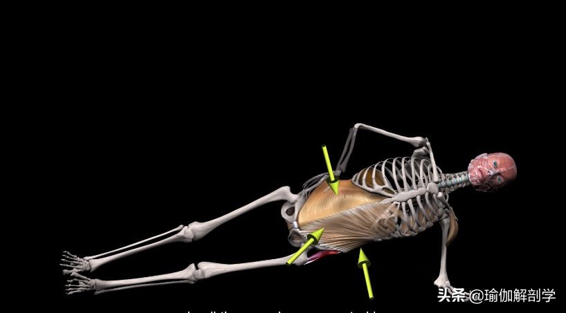 腰椎间盘突出适合练瑜伽哪些动作,腰椎间盘突出做什么瑜伽可以恢复
