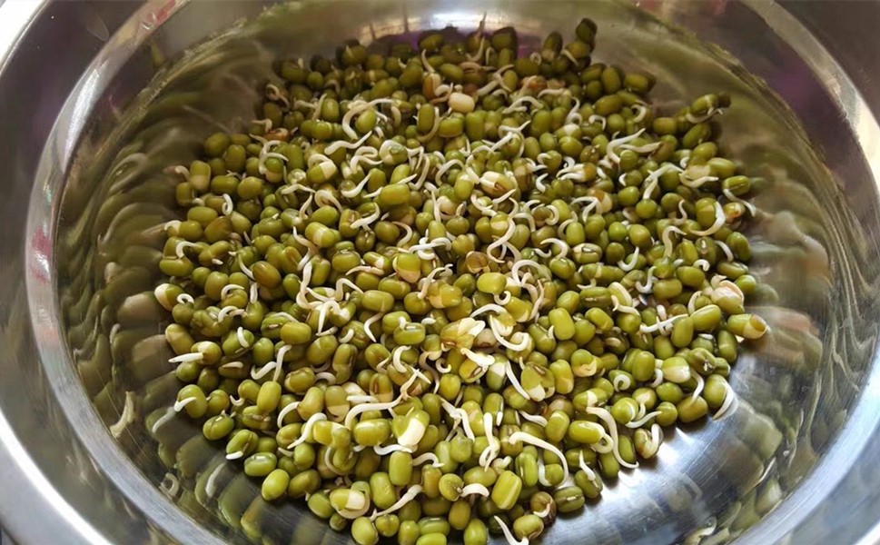 想吃豆芽自己生,想吃豆芽自己动手