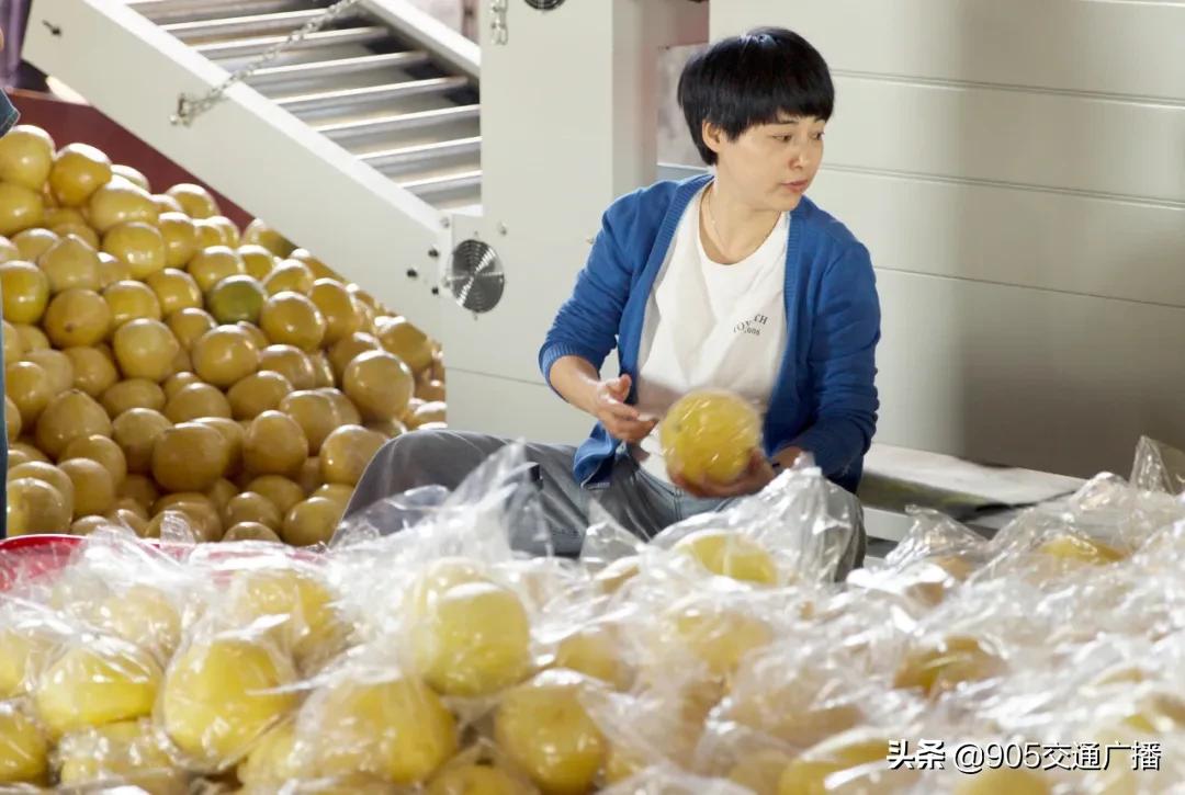 鐢靛晢鍔╁姏浜庨兘鑴愭棣欓鍗冮噷,婀栧崡鐢靛晢鎵惰传鐗逛骇