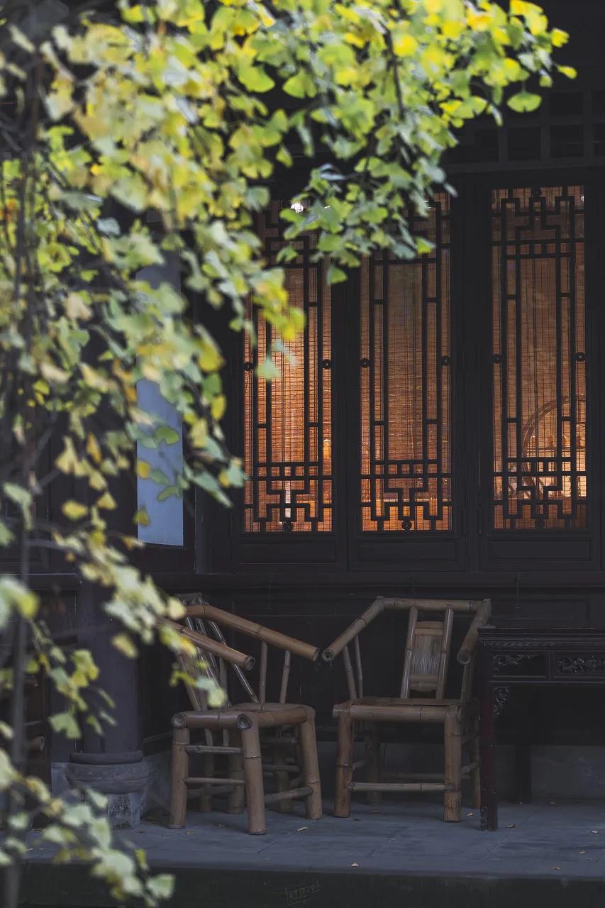 这样的成都你还爱吗,这样的成都你见过吗