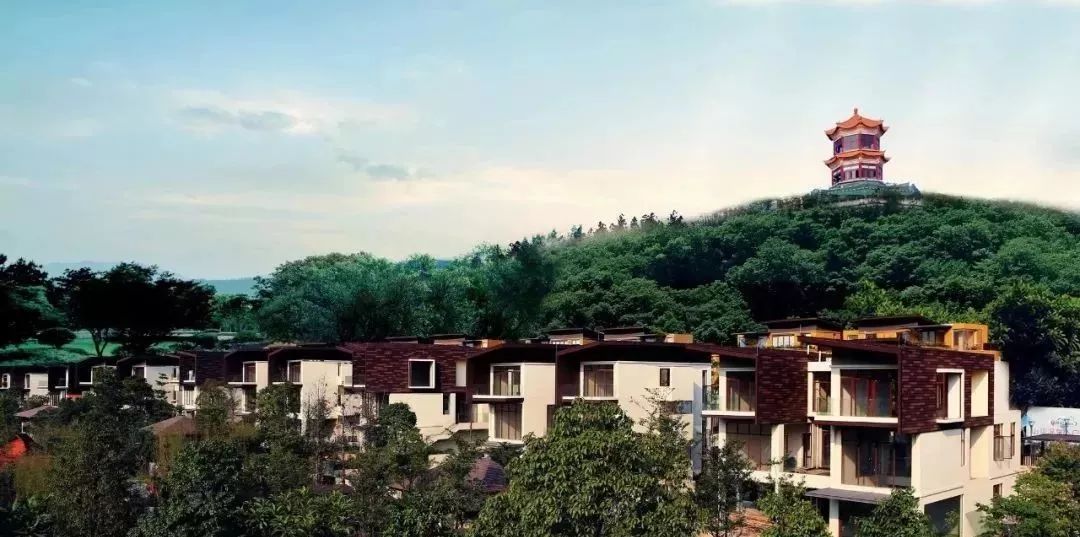 台山颐和温泉酒店私人泡池,台山颐和温泉酒店特价