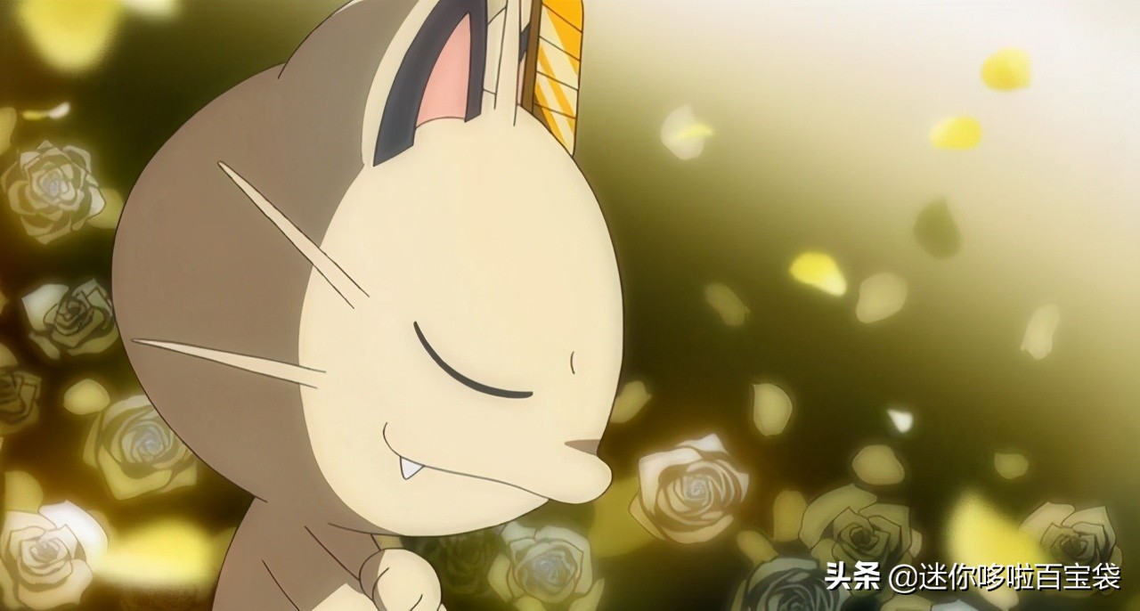 精灵宝可梦中的猫型宝可梦有哪些,精灵宝可梦太阳月亮火斑喵进化