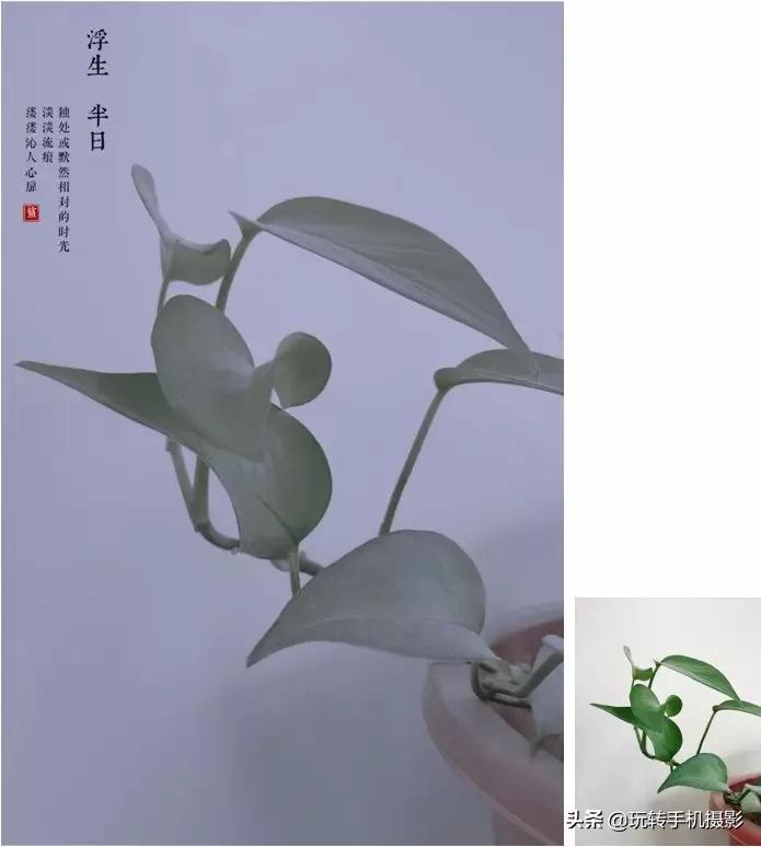 日式小清新调色技巧,文艺小清新调色教程