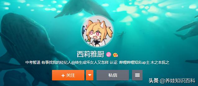 杨倩打枪视频,杨倩用枪打出了什么