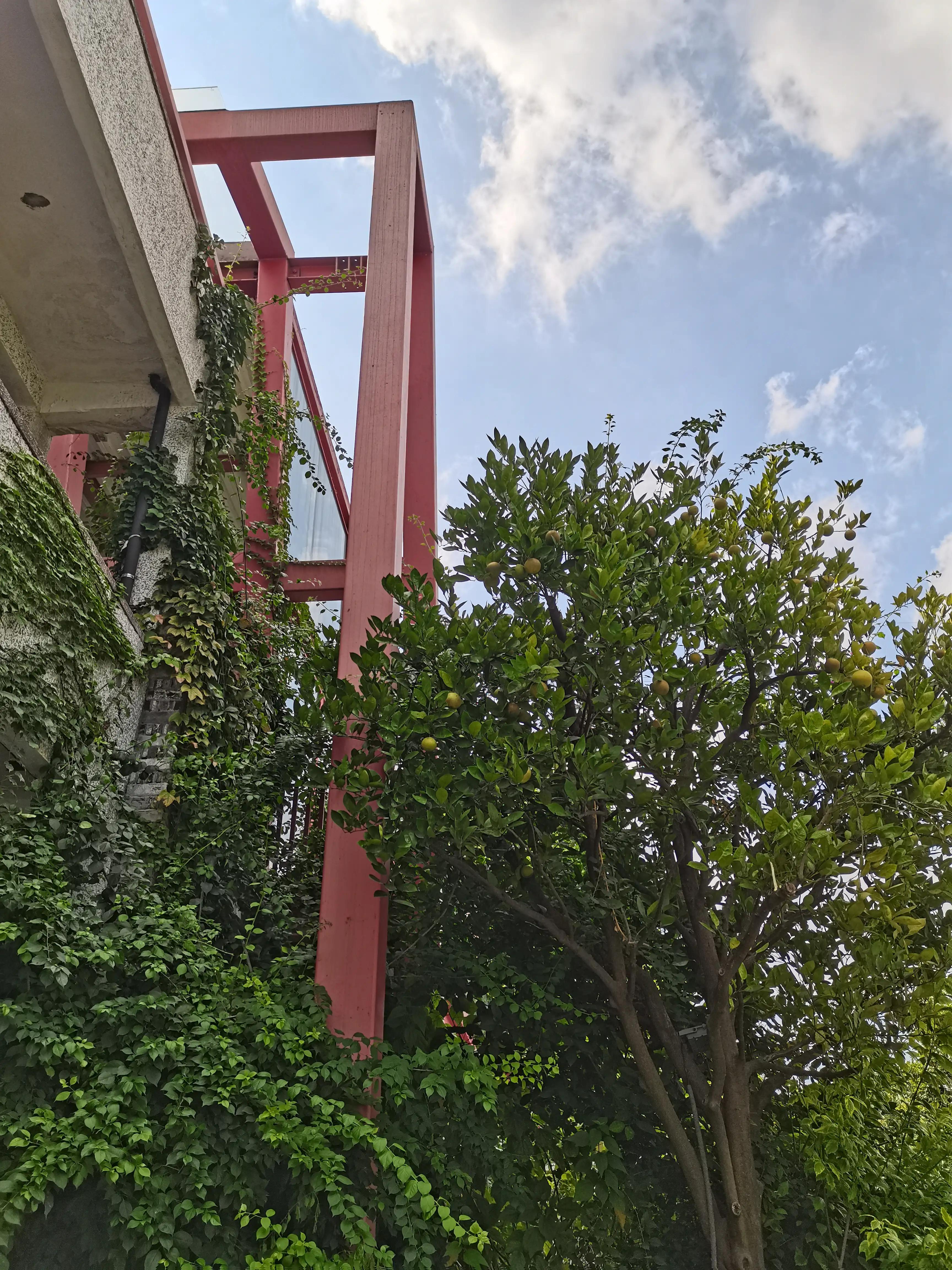 温州茶山风景区游玩攻略图,温州瓯海山根小村景区