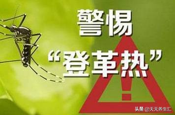 蚊子传染艾滋病毒吗,蚊子会传染艾滋病吗