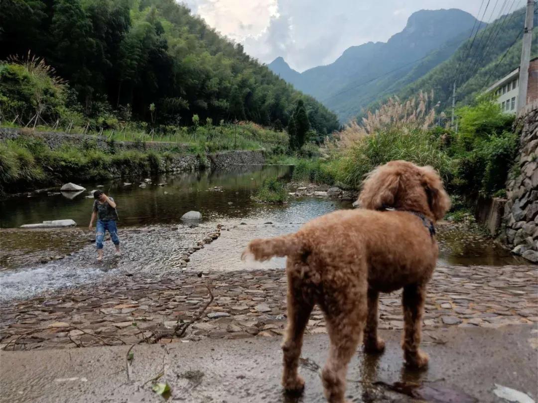 我要去旅行英文,我要去旅行完整版