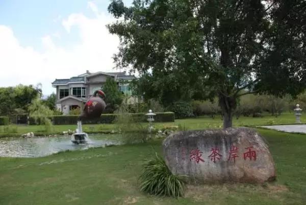 年销售额近5亿的茶叶品牌,天福茶叶经营模式