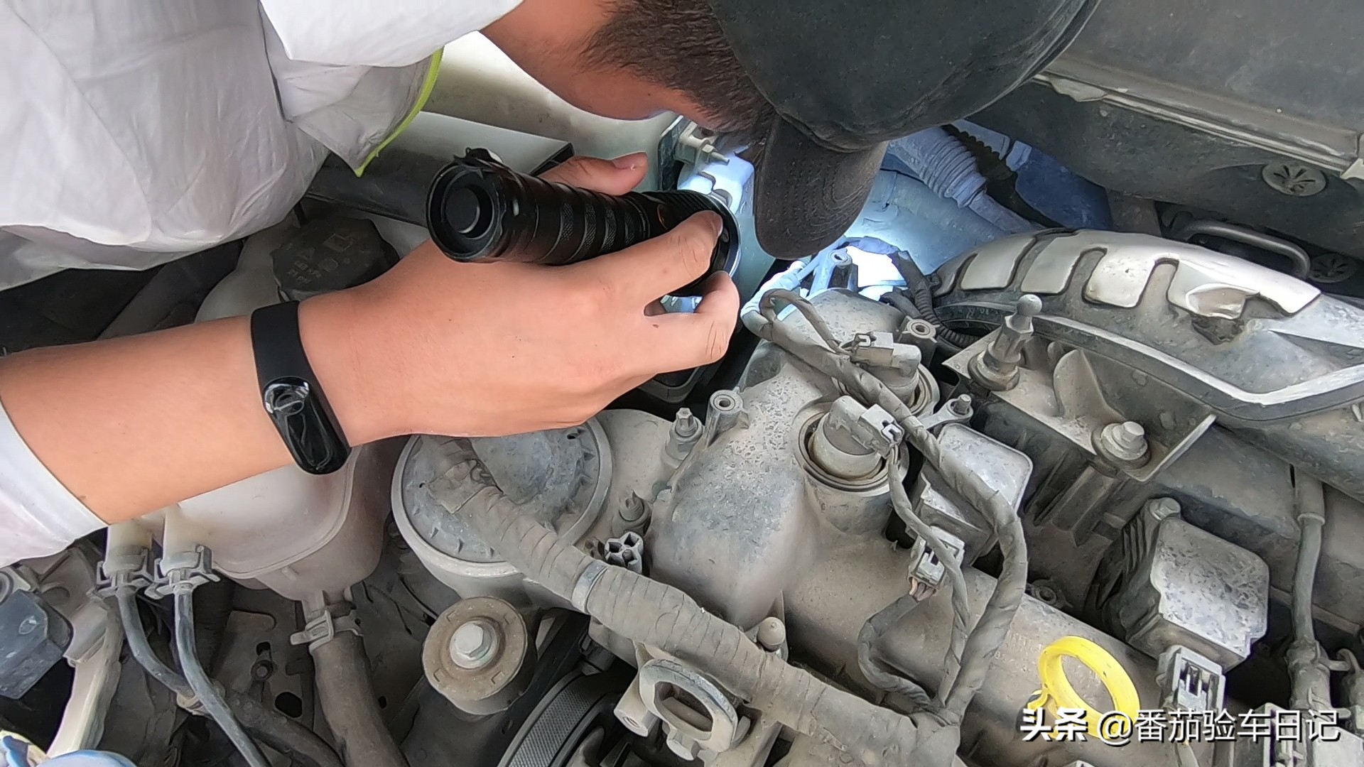 15骞磋挋杩杞﹀晢鏀跺埌鎵嬮噷鑳藉崠澶氬皯,杞﹀晢鐪间腑鐨勮挋杩鑷磋儨