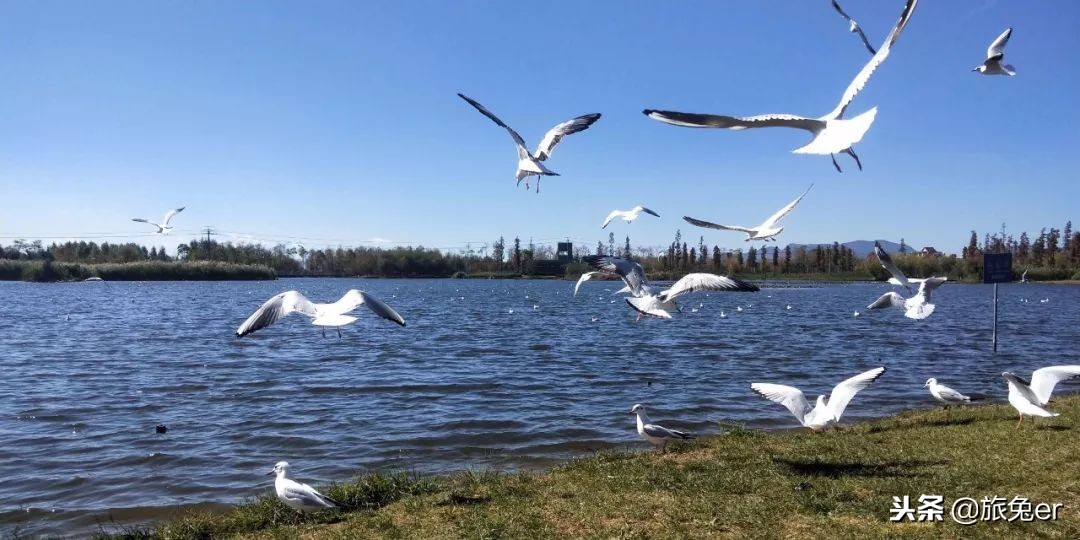 鏄嗘槑璇勪笂鍏ㄧ悆涓夌嚎鍩庡競,鏄嗘槑鏈夊彲鑳芥垚涓哄叏鐞冧笁绾垮煄甯傚悧