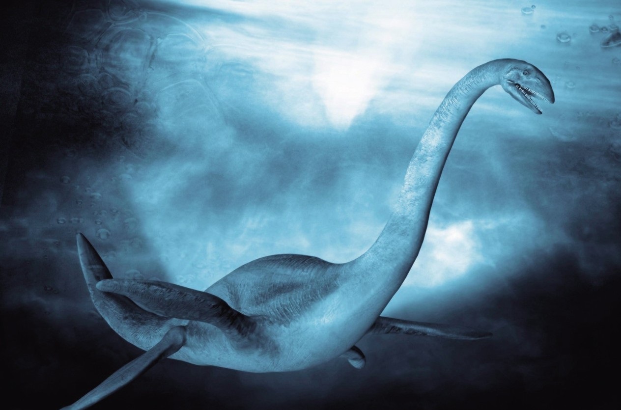 美国十大未解之谜大揭秘,世界十大未解之谜之简单介绍