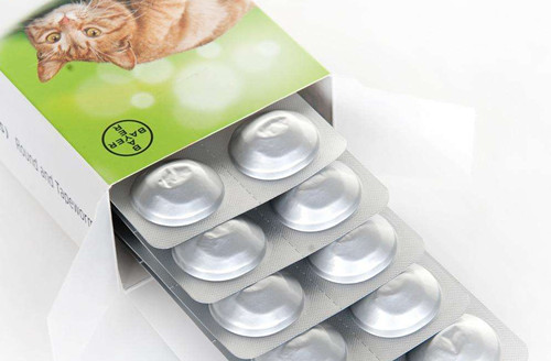 世界奇妙物语猫,奇妙猫咪物语公猫