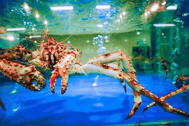 正月十五吃什么？不如带家人一起在兰州享受排挡价位的海鲜大宴吧