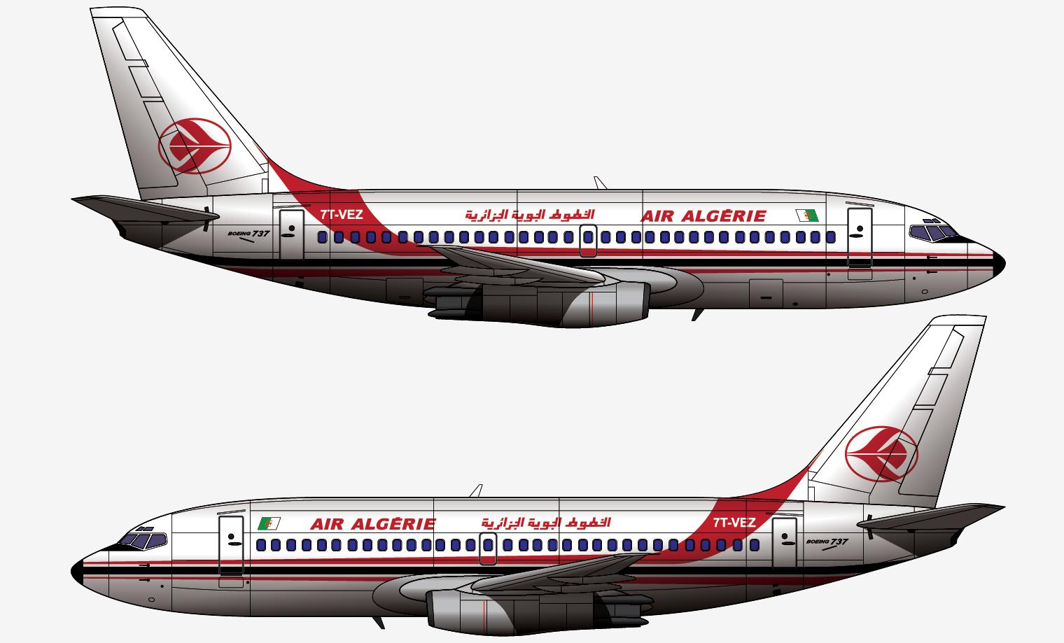 各自为阵，忆阿尔及利亚航空AH6289航班2003.3.6塔曼拉斯塞特空难