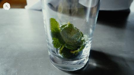 教你做最适合夏天的淡酒精饮料:莫吉托