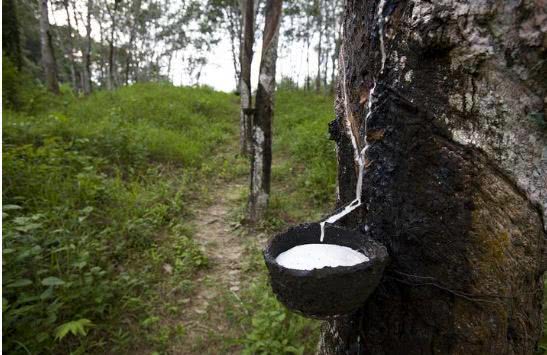 不敢上厕所听的鬼故事,听完不敢上厕所的恐怖故事