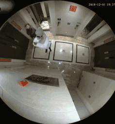 出轨分宝强千万财产，现转型当导演卖惨洗白，潘金莲都得叫马蓉师父