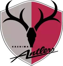 鲁能亚冠杯鹿岛,鲁能足校潍坊杯