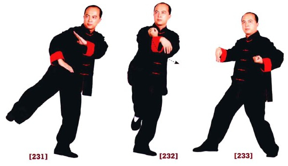 咏春拳入门十二散手,咏春拳标指教学视频