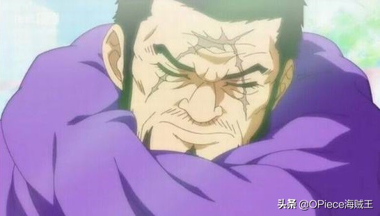 藤虎为什么要坚决废除七武海制度,为什么藤虎要废除七武海制度