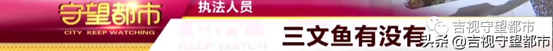 市场监管局开展海鲜交易专项整治,长春市严查水产批发市场