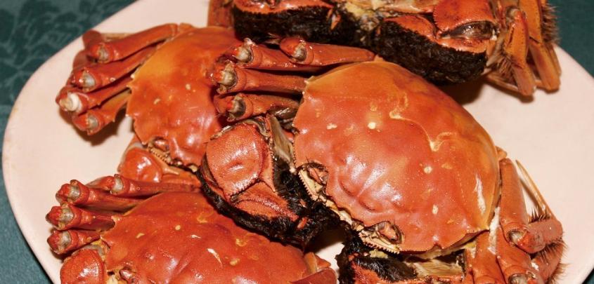 隔夜的大闸蟹还能吃吗,隔夜的大闸蟹还可以吃吗