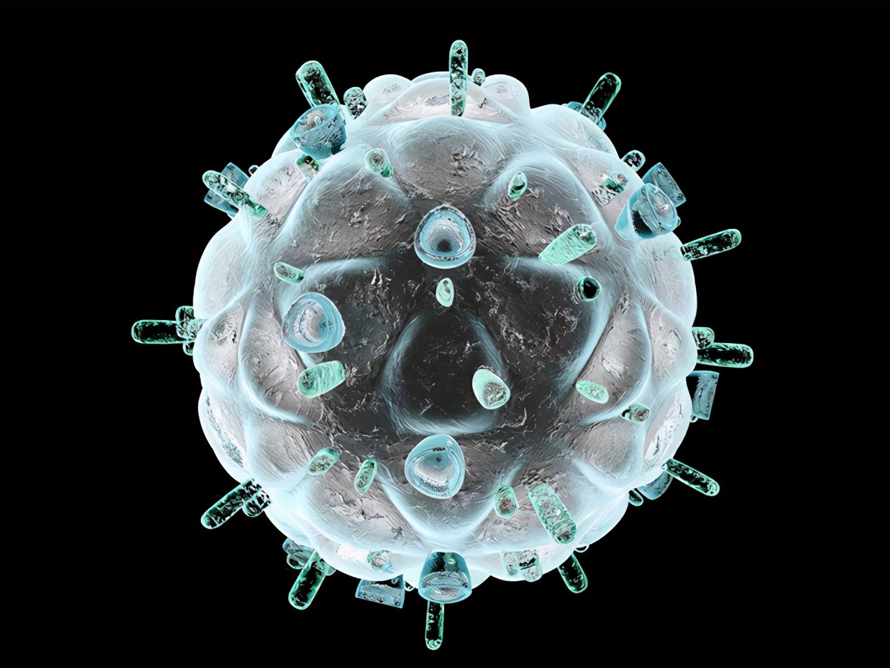 艾滋病为什么是大猩猩传给人类,艾滋病毒来源于蝙蝠吗