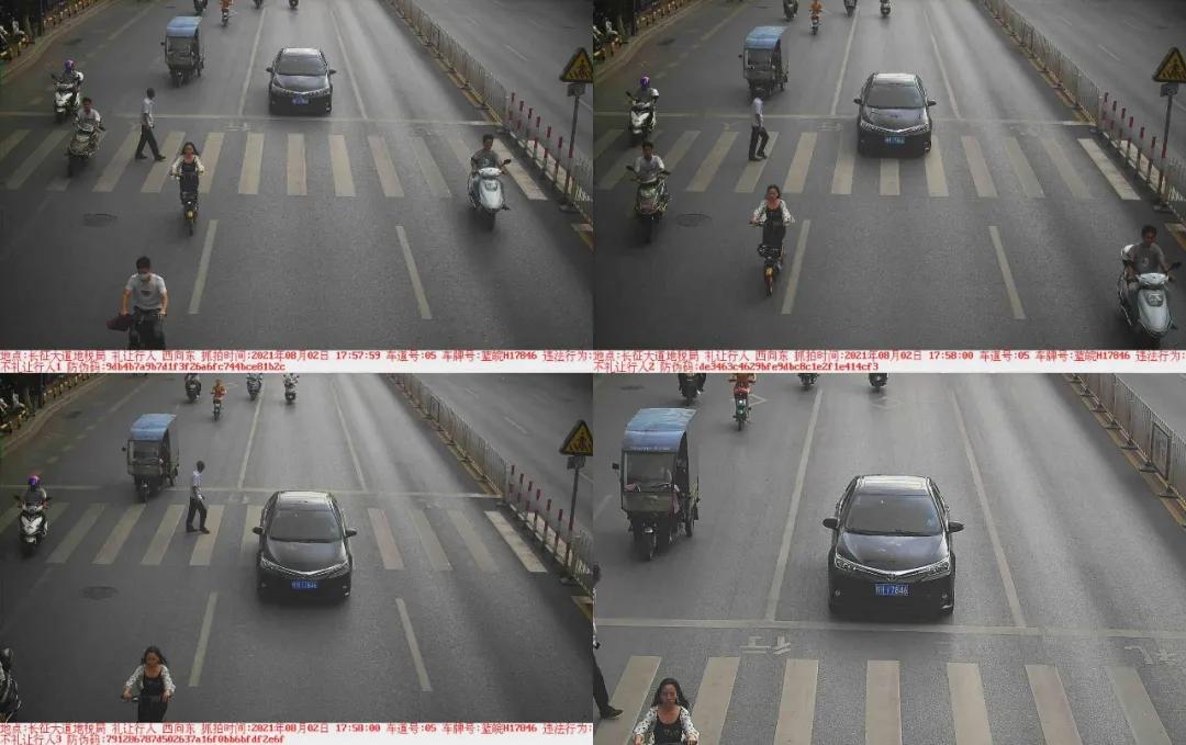 于都礼让行人上哪里举报,于都五中不礼让行人抓拍