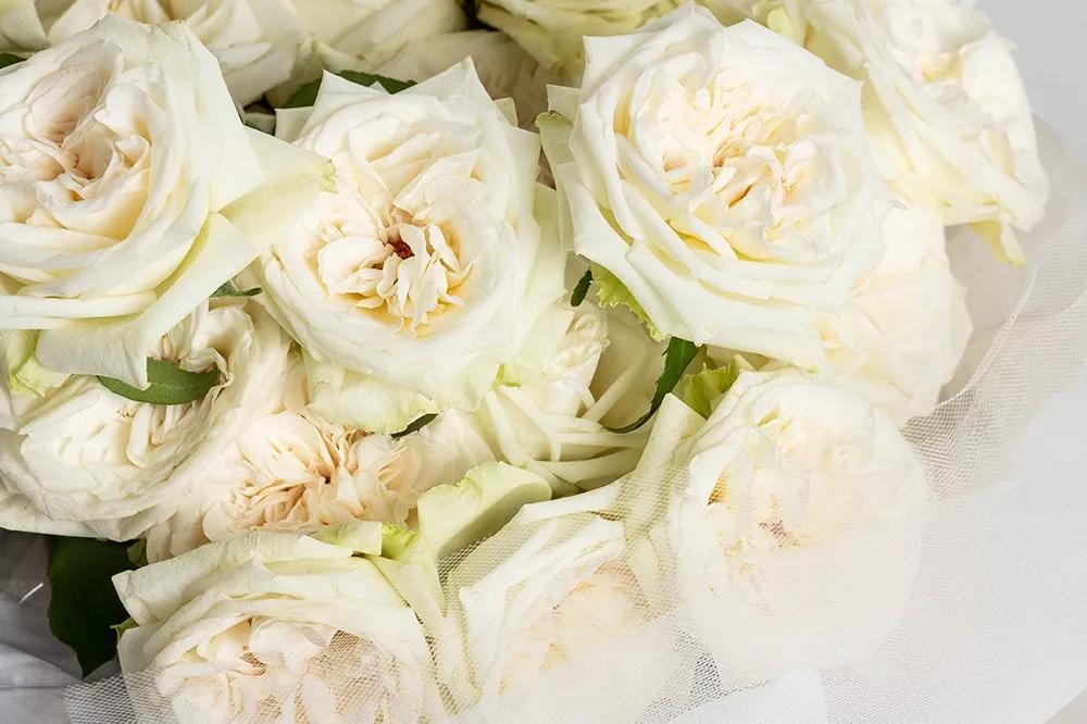 花店必备的5款玫瑰,鲜花图鉴一次性认识30种玫瑰花