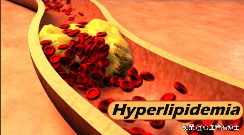 消除斑块的食物食谱,消除斑块最好的水果