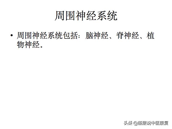 中枢神经系统断层解剖讲解,中枢神经3d解剖动画