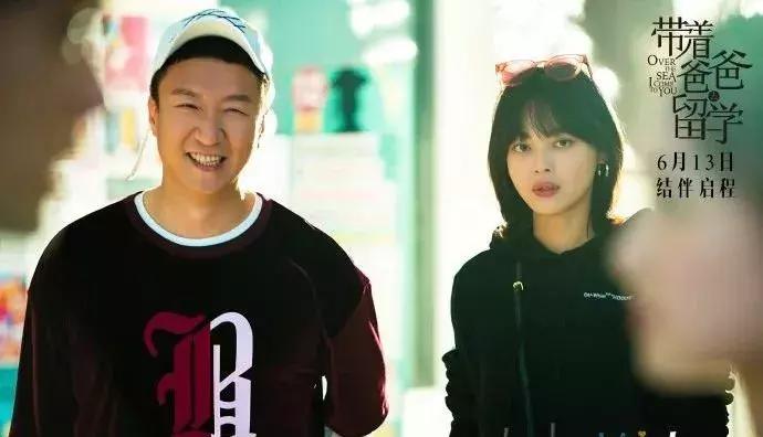 辛芷蕾新剧破案,辛芷蕾的新剧