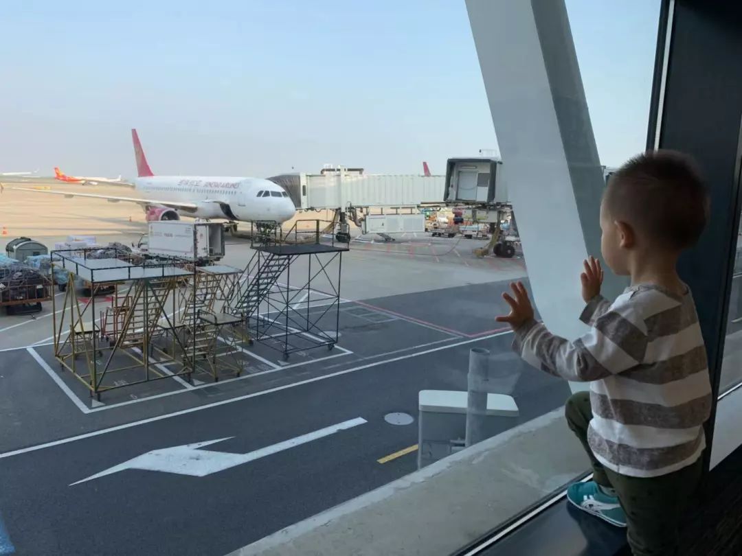 一岁半带娃坐飞机步骤,带娃出行第一次坐飞机