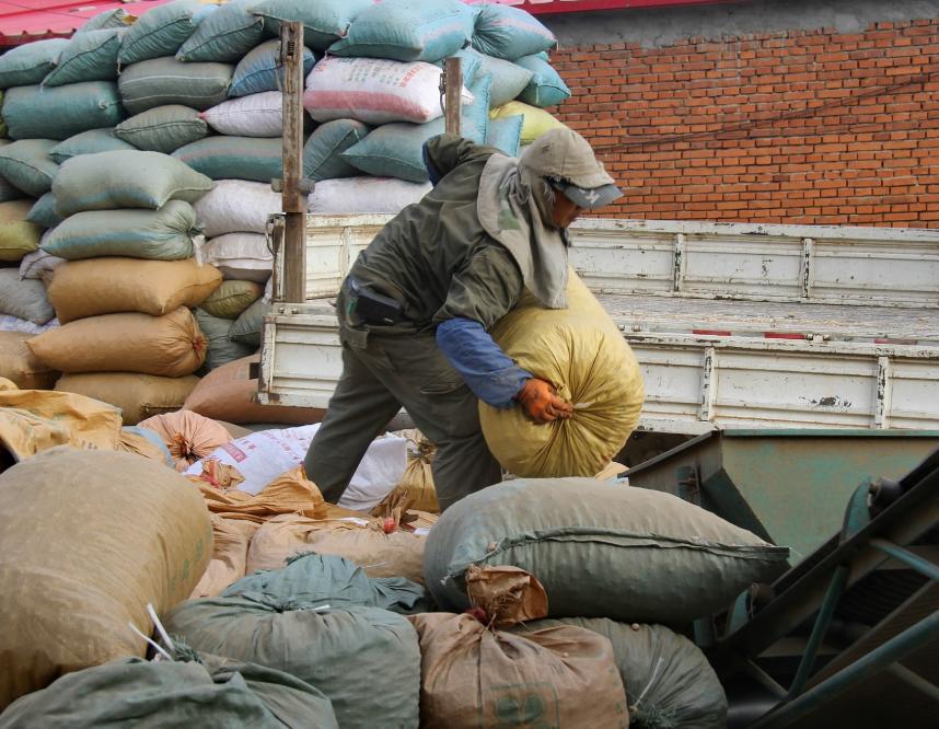 农民的生活是什么样子的,中国农民未来是什么样
