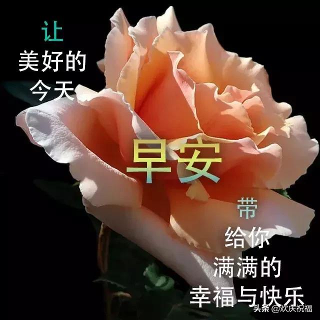 最暖心的早安祝福语图片大全,最美早安问候祝福语动态漂亮图片