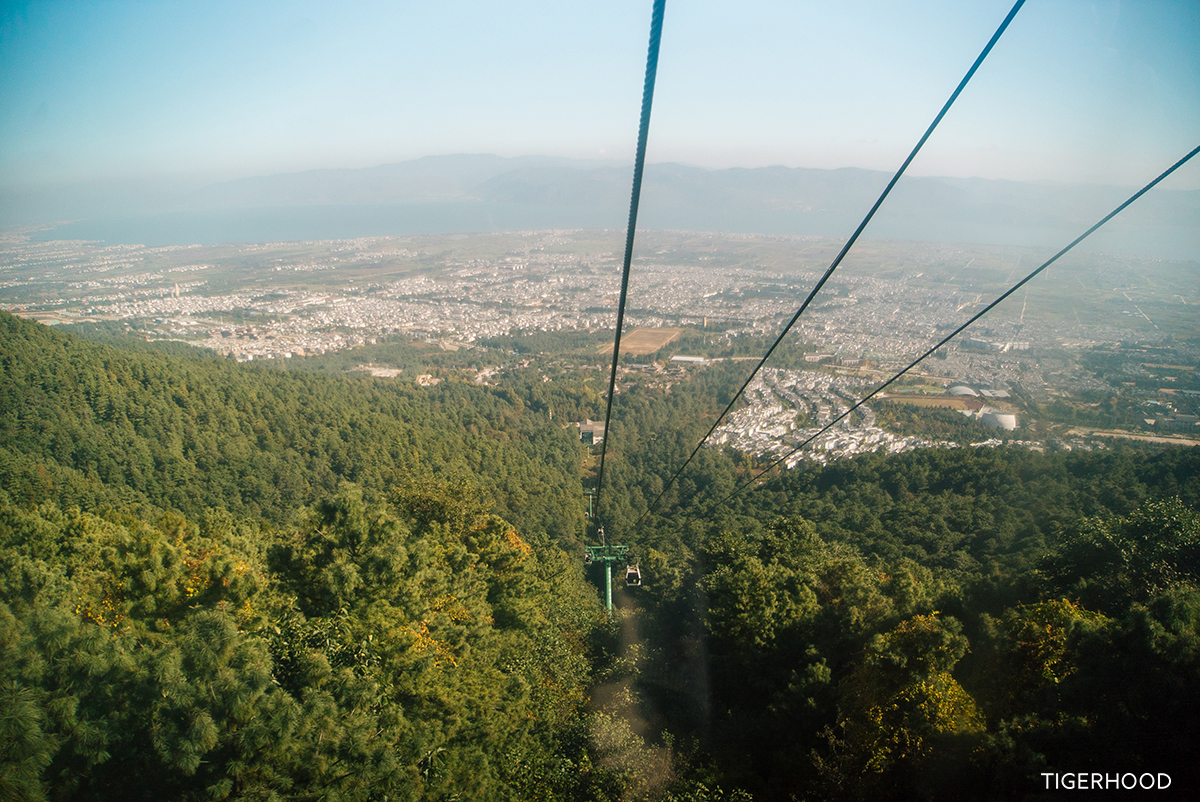 太格有物北京复古咖啡师,太格有物怎么样