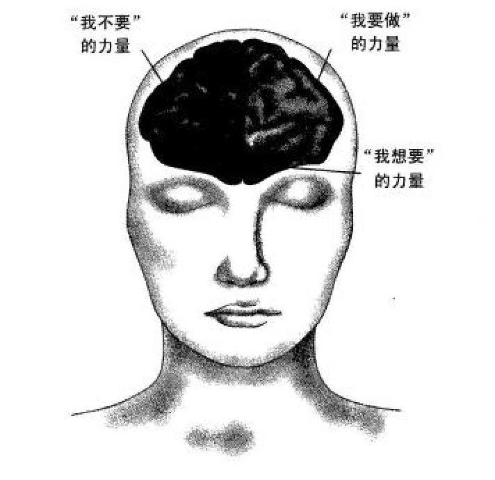 自控力差怎么提高自律,自控力差怎么纠正