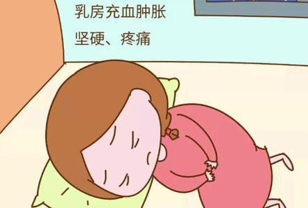 产后乳房涨得像石头，通乳比生孩子还痛！常见的乳房问题解决方法