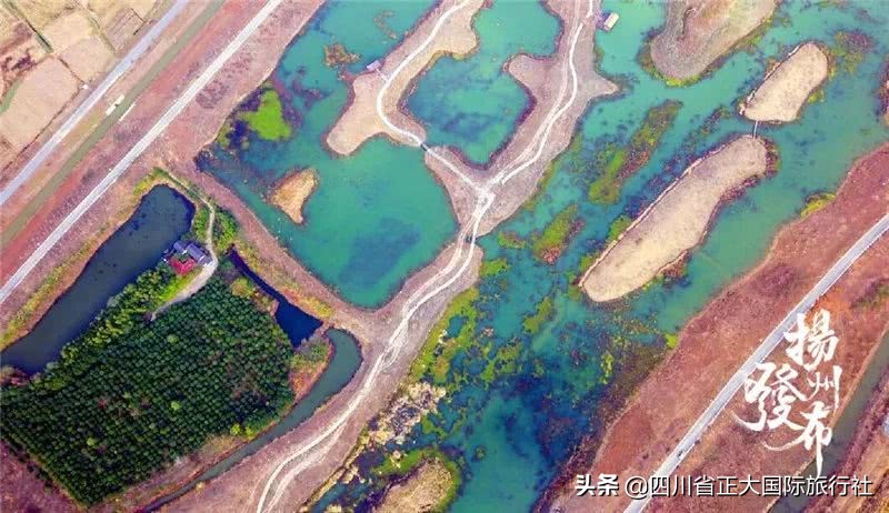 扬州瘦西湖最新旅游消息,扬州瘦西湖最美公园