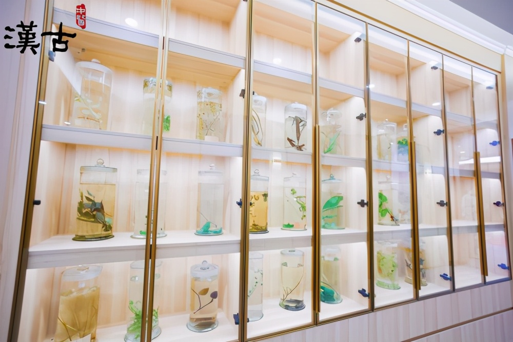 健康中医饮品,最近火的中药养生奶茶