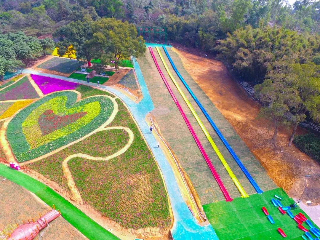 中山风景打卡点,广州秋游野餐好去处