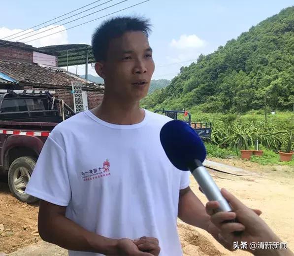 火龙果爆开,红心火龙果大爆单