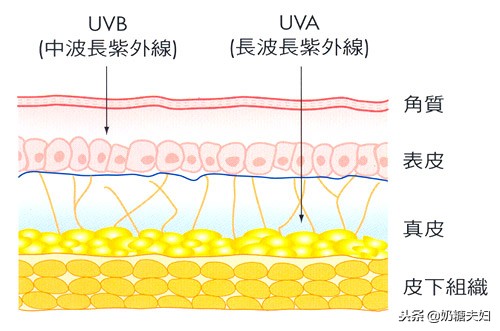 结婚前正确的护肤步骤,网上的护肤谣言