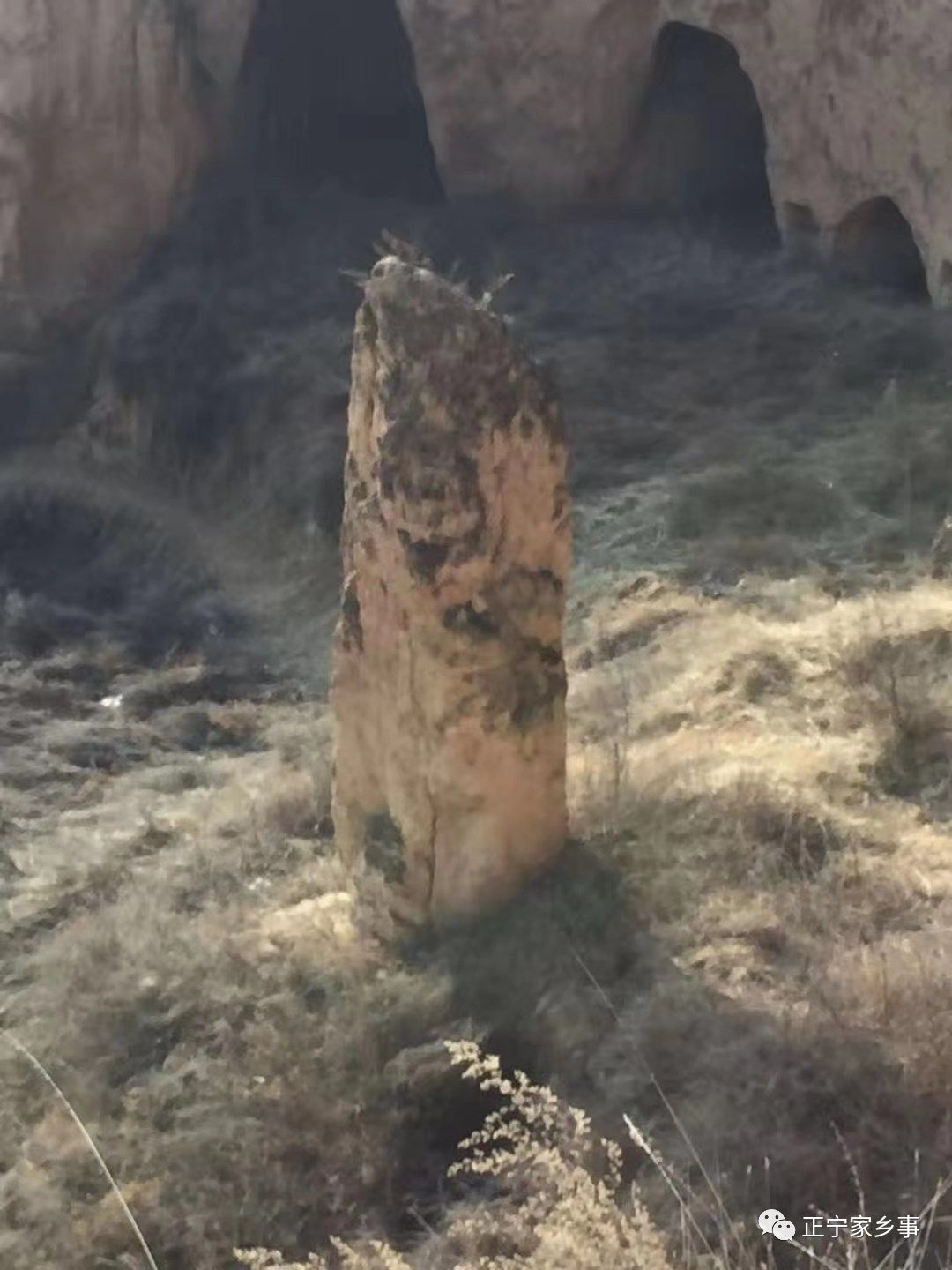 疫情期间蜗居,疫情期间随笔