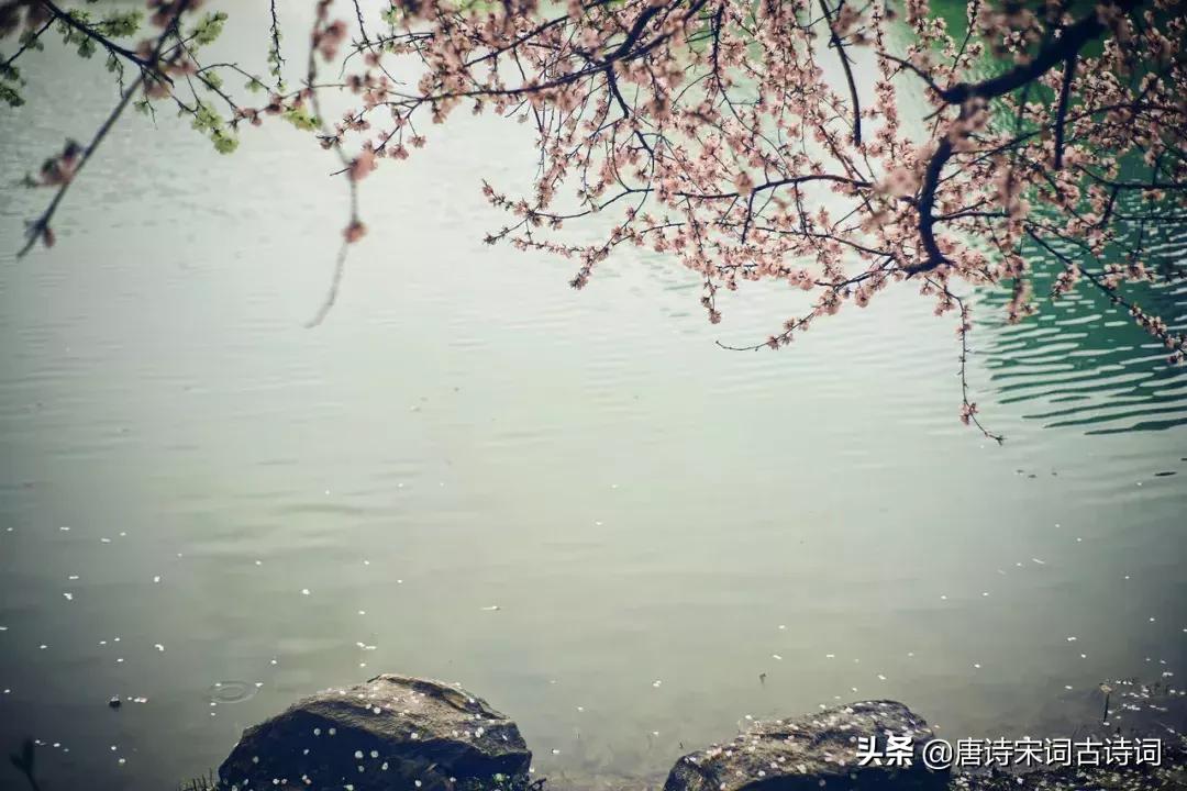 古诗喝茶的绝美诗句,诗词世上无难事