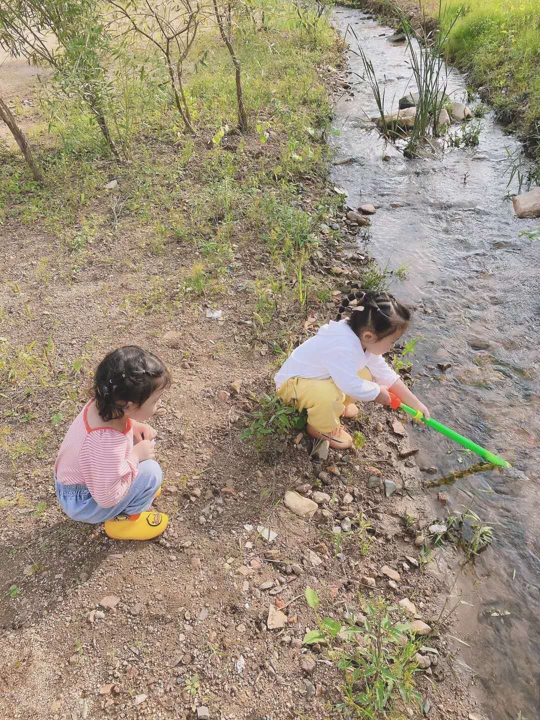 沈阳哪里有采榛子的采摘园,沈阳采摘园哪个最好玩