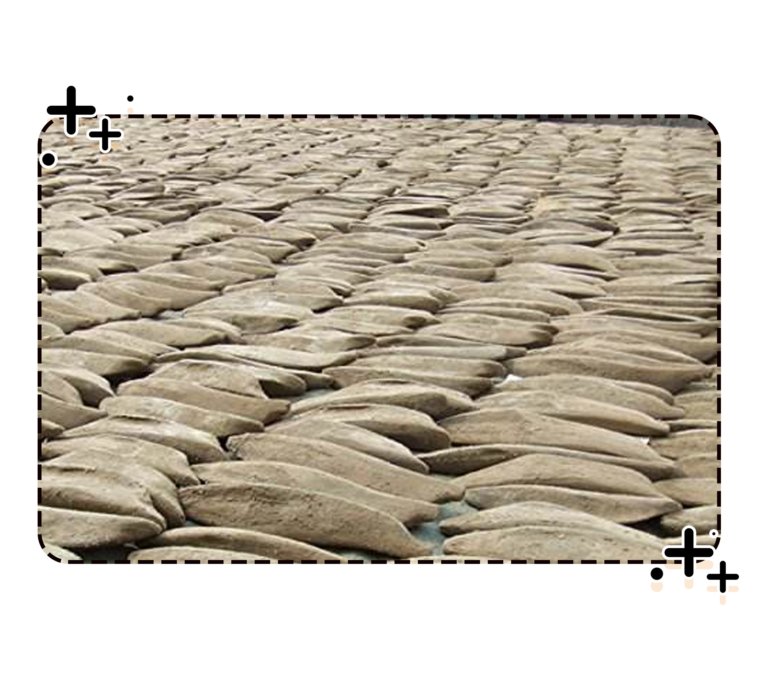 世界上最硬的食物柴鱼,世界上最费劲的食物