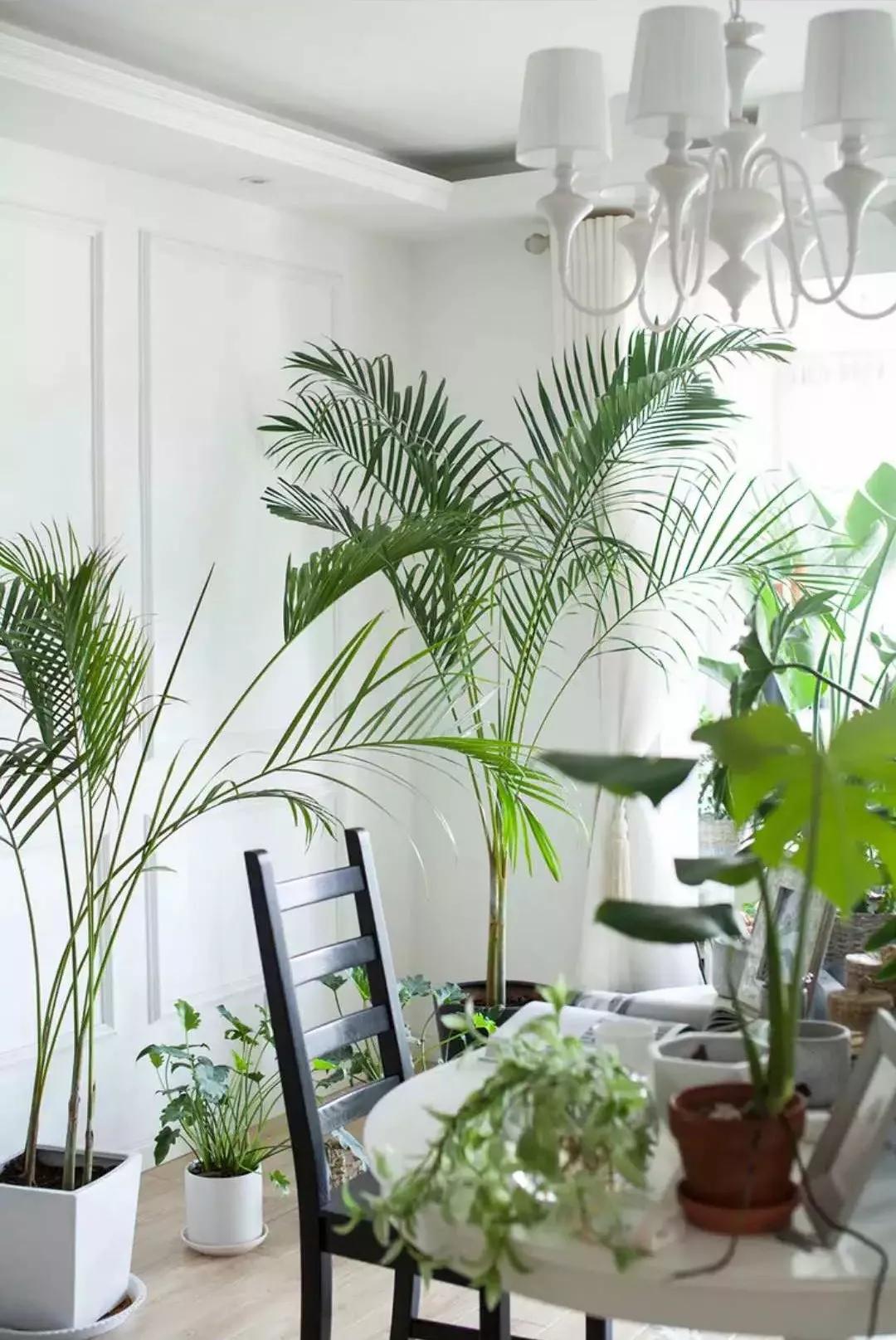 小夫妻98㎡家意外走红!登北京地铁广告,这个家才是都市里的奢侈