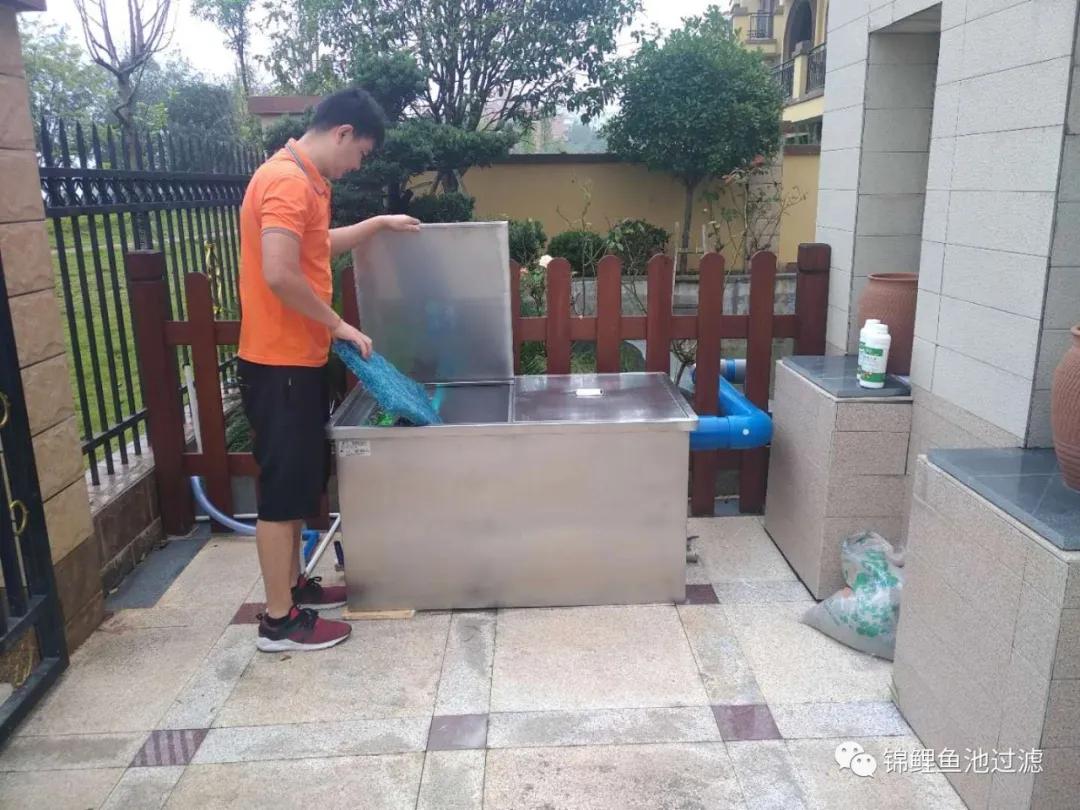 养锦鲤必备的一款鱼池过滤器,锦鲤鱼池过滤器自制方法