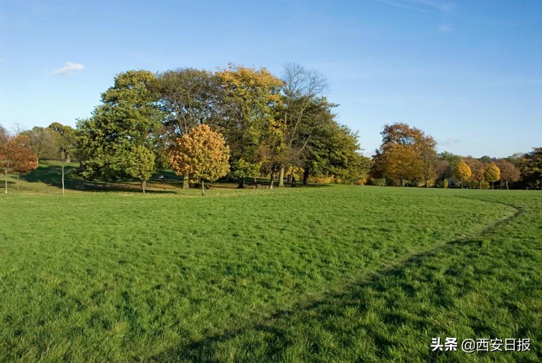 西安免费公园,西安公园免费景点推荐